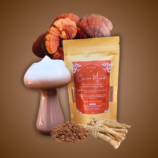 Cacao Mind